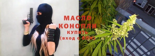 тгк Каменка