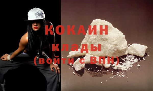 шишки Карпинск