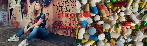 шишки Карпинск