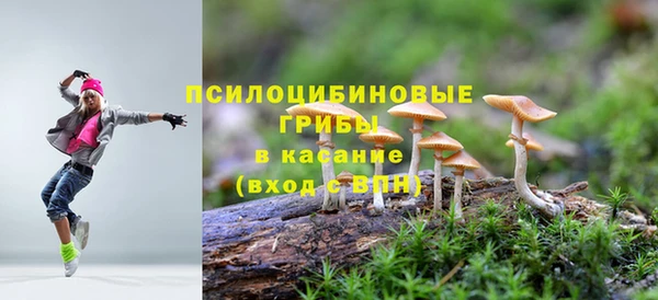 герыч Касимов