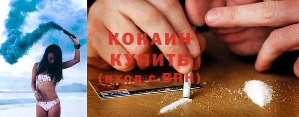 шишки Карпинск