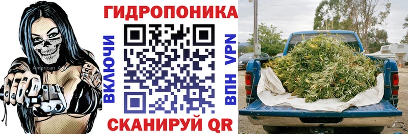 сколько стоит  Когалым  Бошки марихуана сатива 